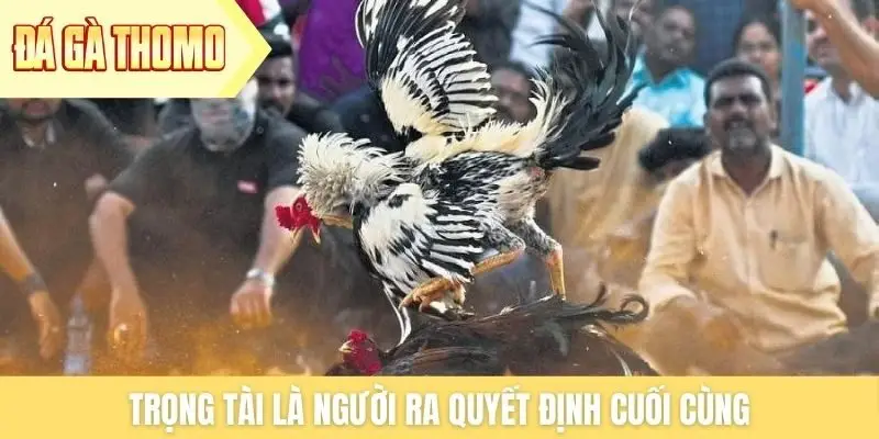 Trọng tài là người ra quyết định cuối cùng Trọng tài là người ra quyết định cuối cùng