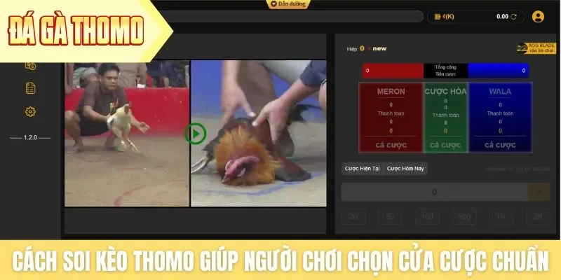 Cách soi kèo Thomo giúp người chơi chọn cửa cược chuẩn Cách soi kèo Thomo giúp người chơi chọn cửa cược chuẩn