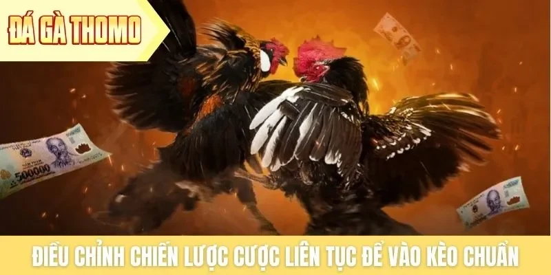 Điều chỉnh chiến lược cược liên tục để vào kèo chuẩn Điều chỉnh chiến lược cược liên tục để vào kèo chuẩn