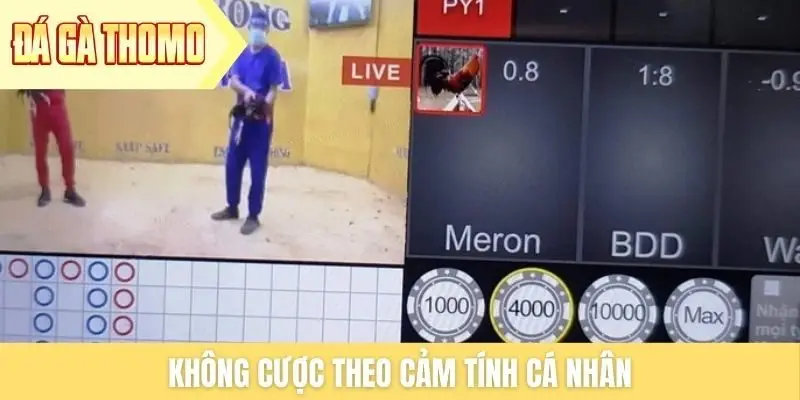 Không cược theo cảm tính cá nhân Không cược theo cảm tính cá nhân