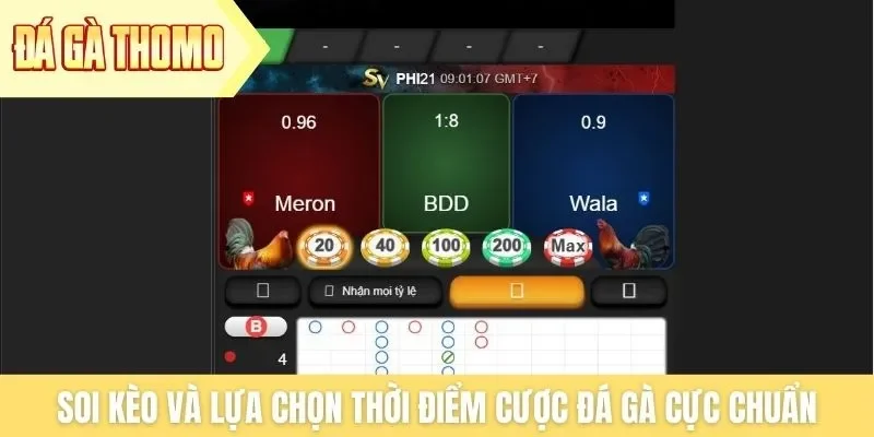 Soi kèo và lựa chọn thời điểm cược đá gà cực chuẩn Soi kèo và lựa chọn thời điểm cược đá gà cực chuẩn